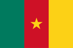 Find Employees in Cameroon