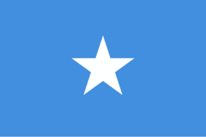 Find Employees in Somalia